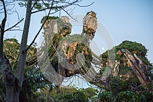 Pandora Ã¢â¬â The World of Avatar at the Animal Kingdom at Walt Disney World